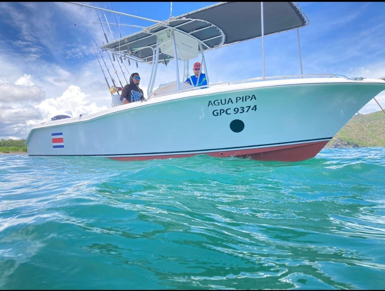 2006 22.2 foot Sea Hunt 22 EUR 62000